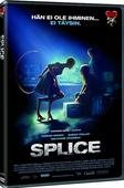 Splice